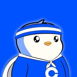 CtYory Profile Avatar